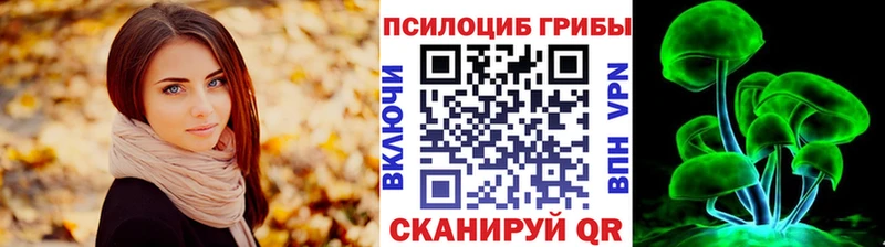 Псилоцибиновые грибы Psilocybe  Купить где  Болхов 