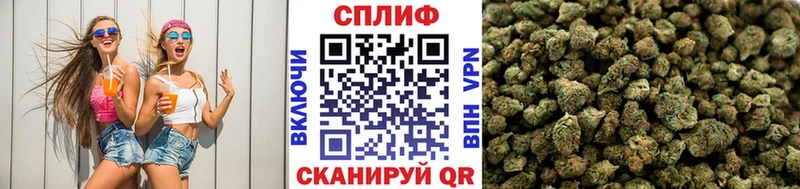 Купить  Болхов  Бошки Шишки ГИДРОПОН 